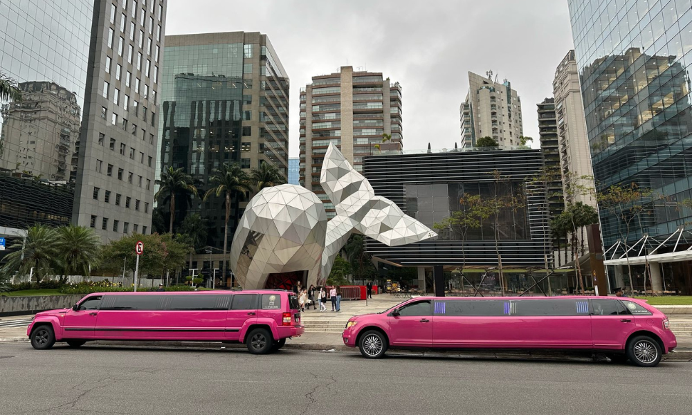 Limousines São Paulo
